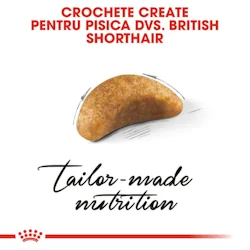 Royal Canin Felin British Shorthair Kitten