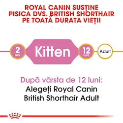 Royal Canin Felin British Shorthair Kitten