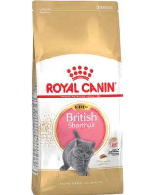Royal Canin Felin British Shorthair Kitten