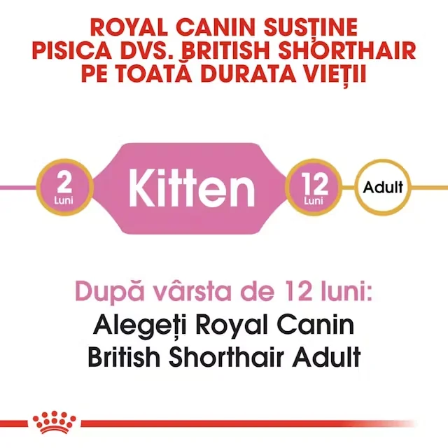 Royal Canin Felin British Shorthair Kitten