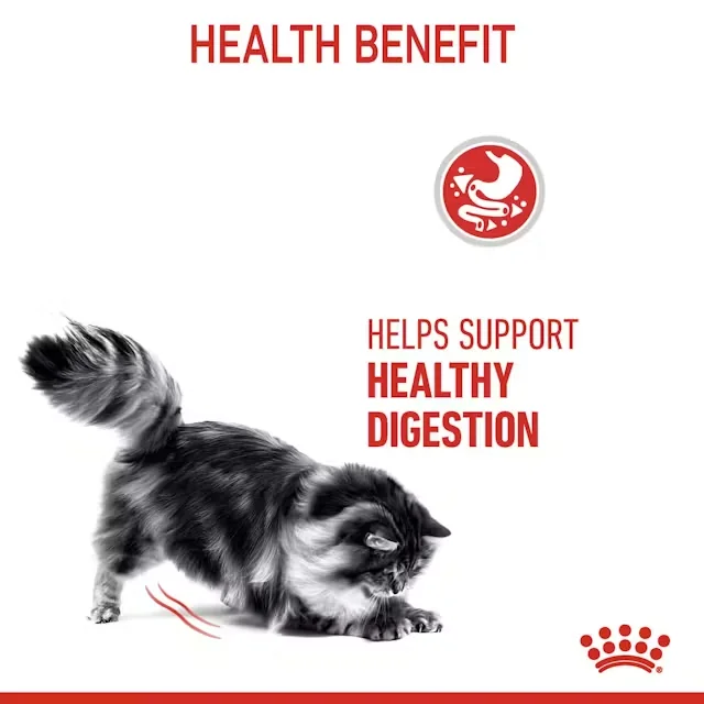Royal Canin Felin Digestive Care