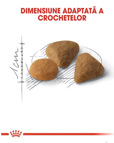 Royal Canin Felin Exigent 35/30 Savour