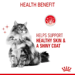 Royal Canin Felin Hair & Skin