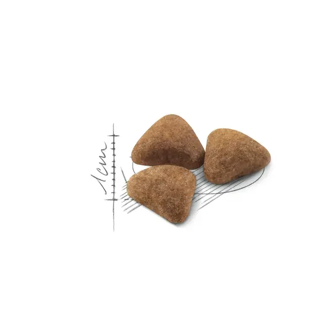 Royal Canin Felin Indoor