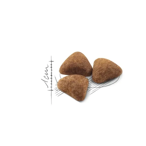 Royal Canin Felin Indoor