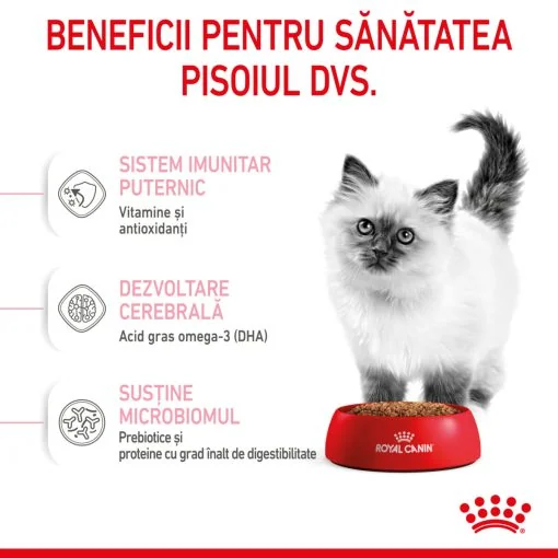 Royal Canin Felin Kitten