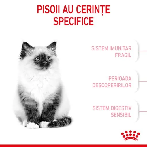 Royal Canin Felin Kitten