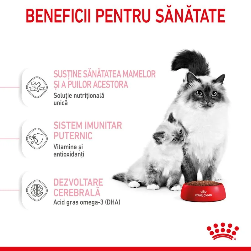 Royal Canin Felin Mother & Baby Cat