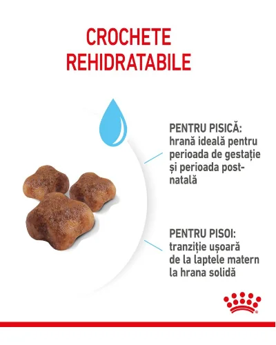 Royal Canin Felin Mother & Baby Cat