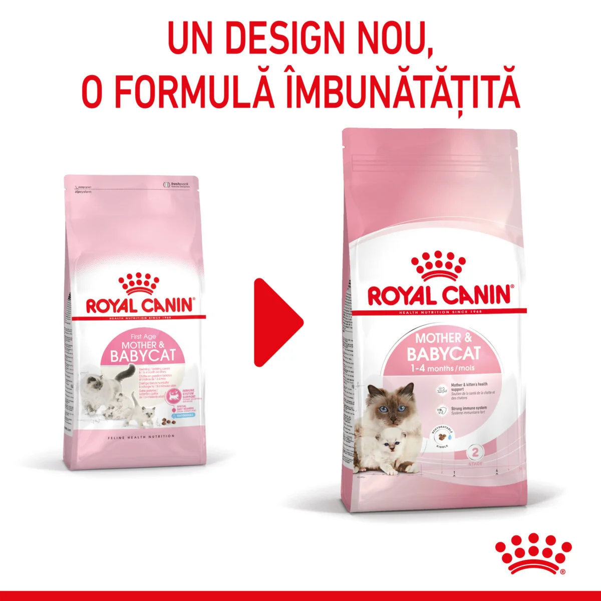 Royal Canin Felin Mother & Baby Cat