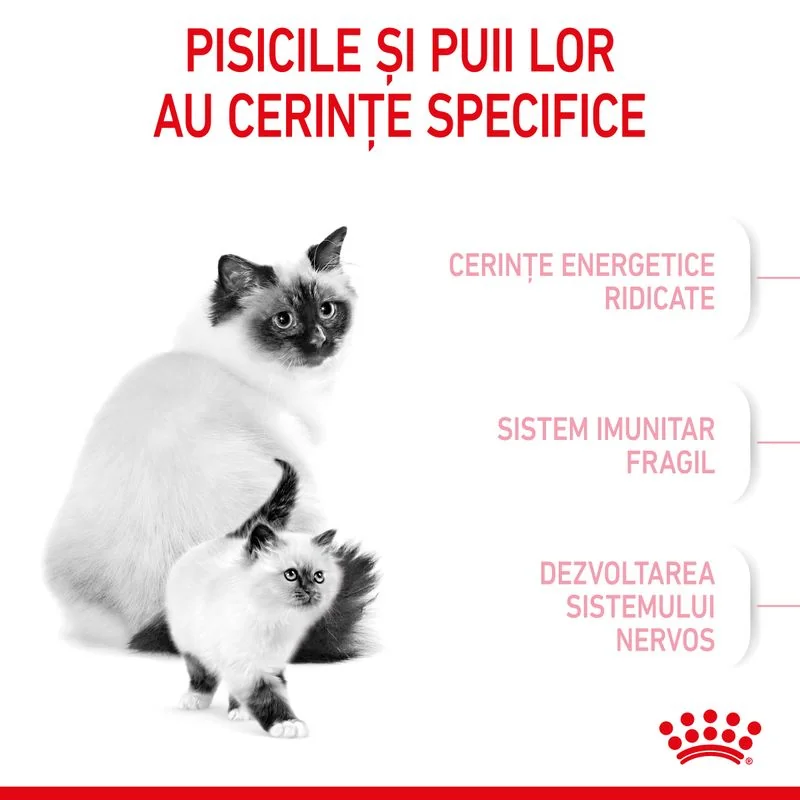 Royal Canin Felin Mother & Baby Cat