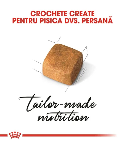 Royal Canin Felin Persian Kitten