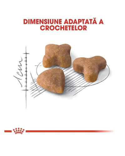 Royal Canin Felin Sensible 33 10 KG