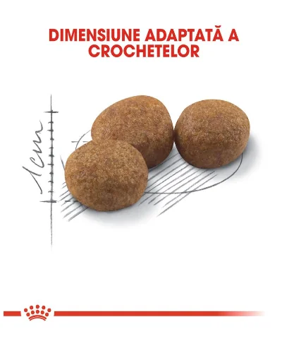 Royal Canin Felin Sterilised Regular 37