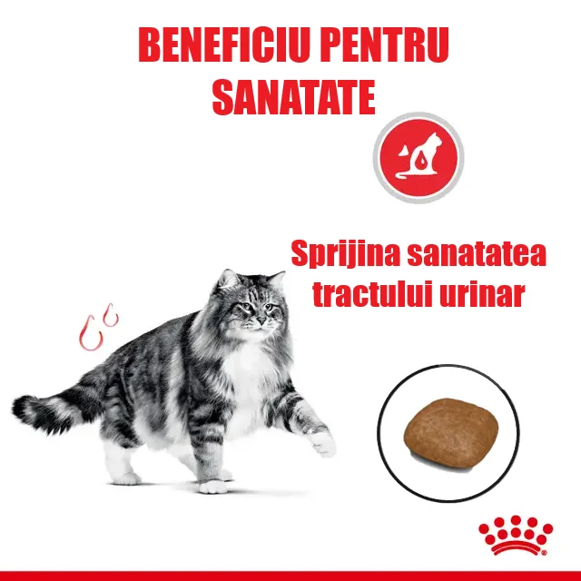 Royal Canin Felin Urinary Care