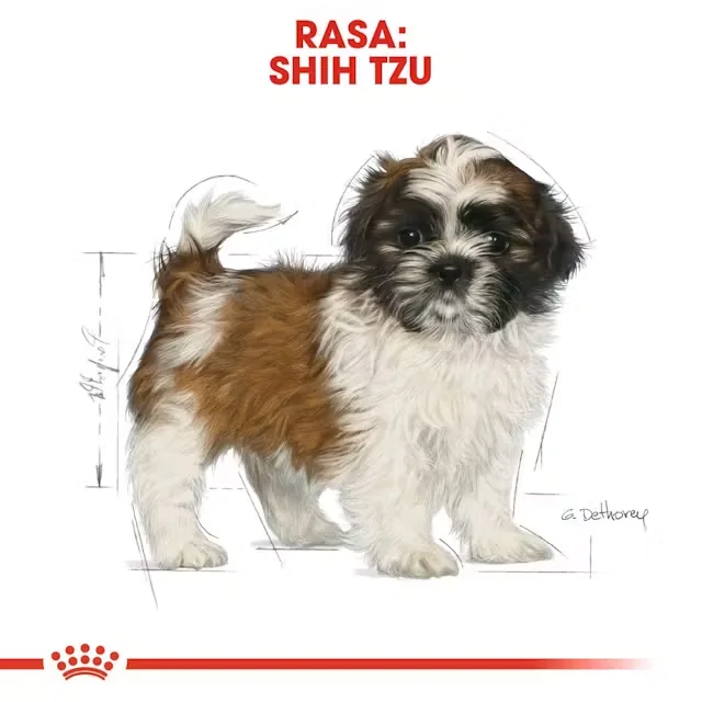 Royal Canin Shih Tzu Puppy