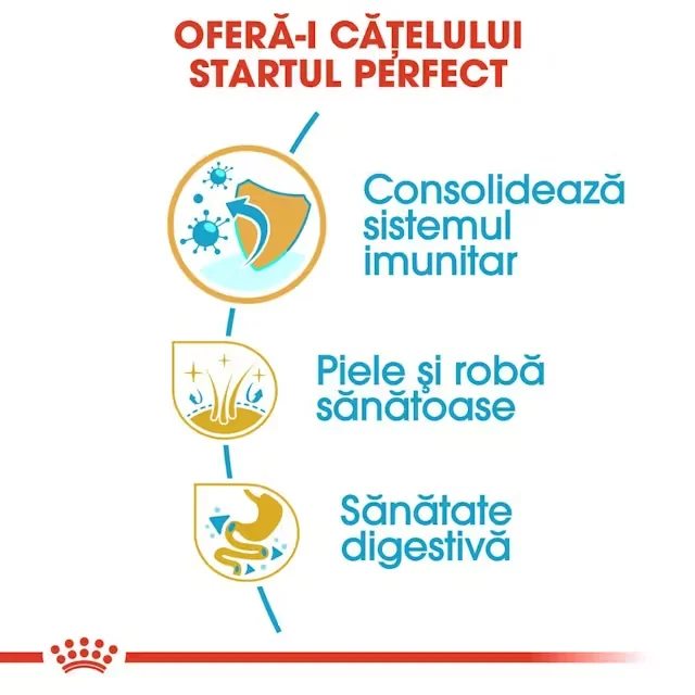 Royal Canin Shih Tzu Puppy