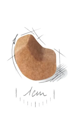 Royal Canin Shih Tzu Puppy