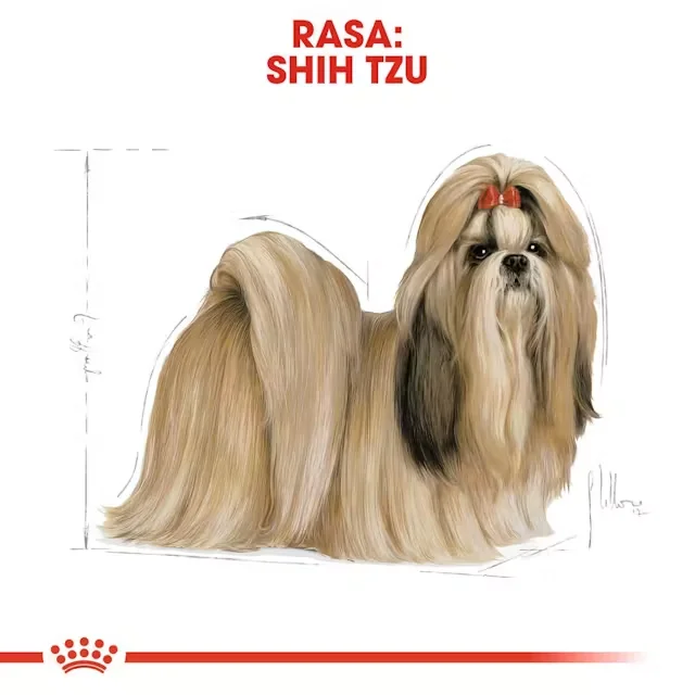 Royal Canin Shih Tzu Puppy