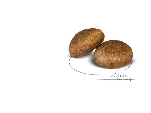 Royal Canin Maxi Adult