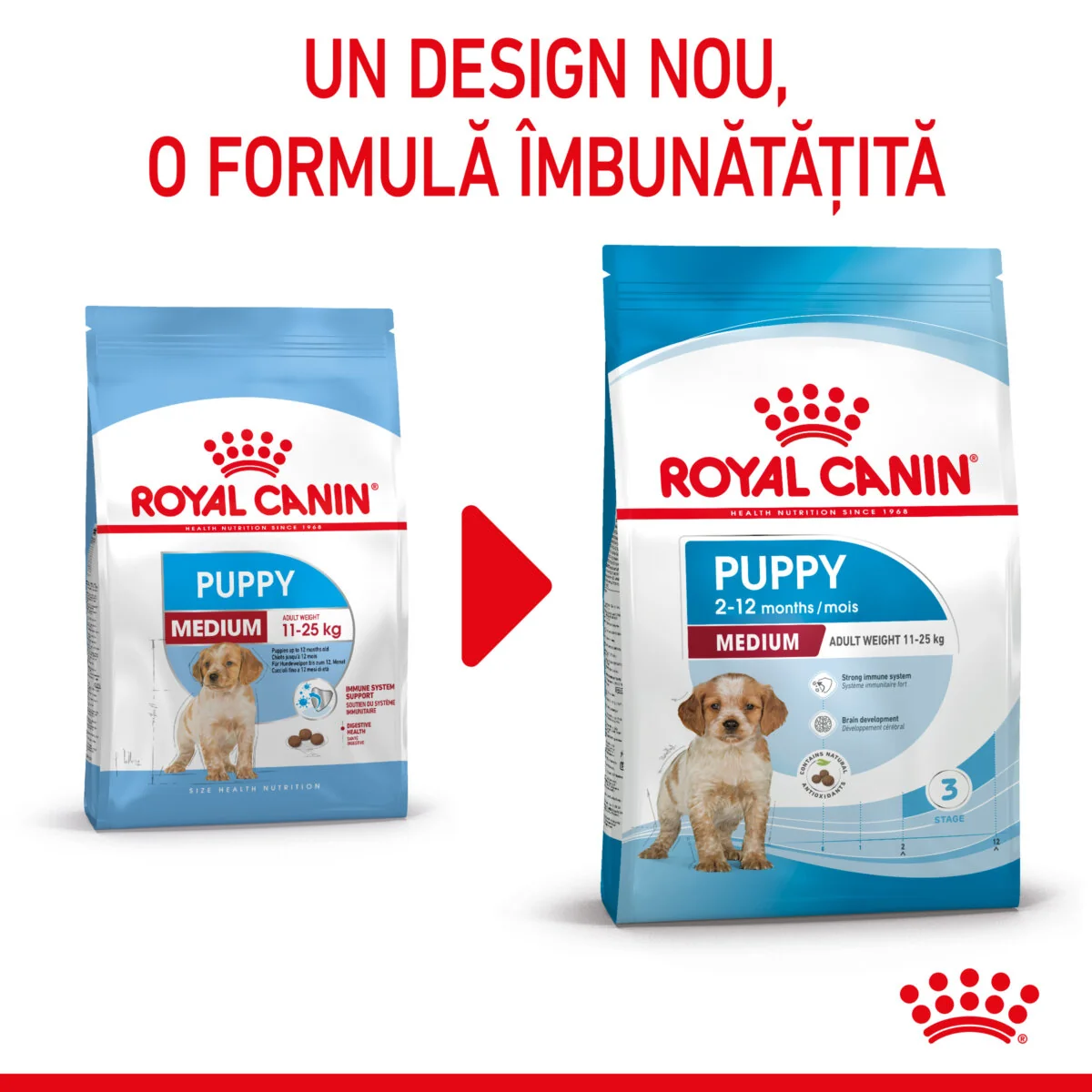 Royal Canin Medium Puppy