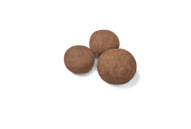 Royal Canin Medium Puppy