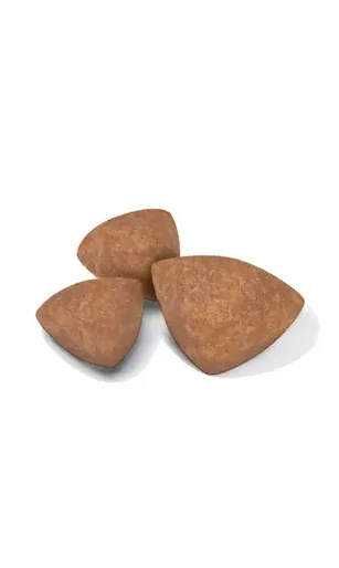 Royal Canin X-Small Puppy