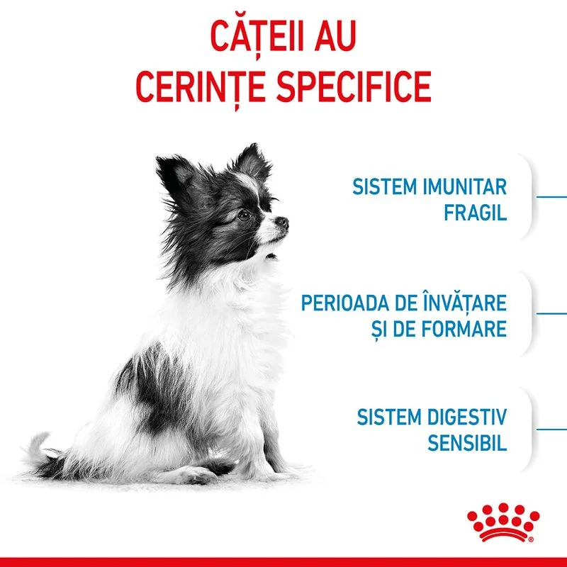 Royal Canin X-Small Puppy