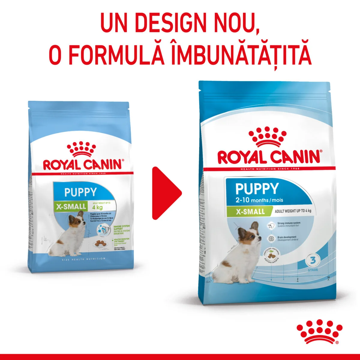 Royal Canin X-Small Puppy