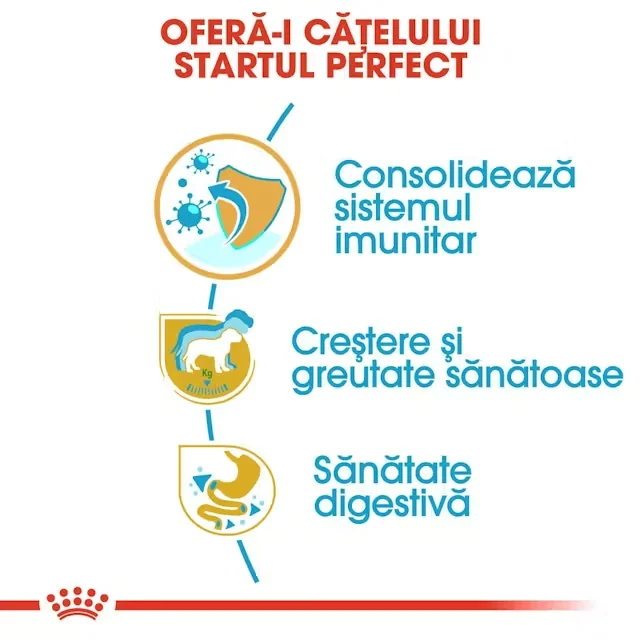 Royal Canin Labrador Retriever Puppy