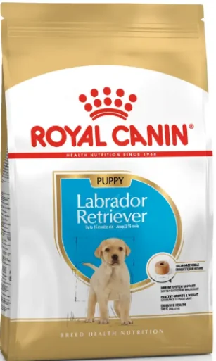 Royal Canin Labrador Retriever Puppy