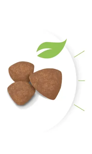 Royal Canin Mini Puppy