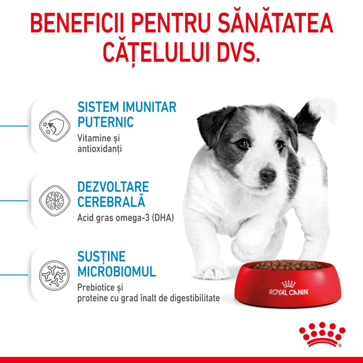 Royal Canin Mini Puppy