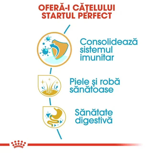 Royal Canin Golden Retriever Puppy