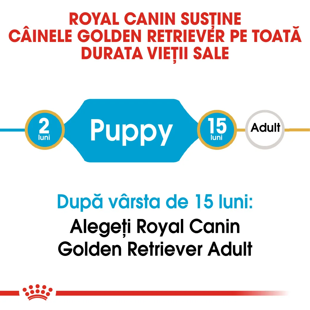 Royal Canin Golden Retriever Puppy