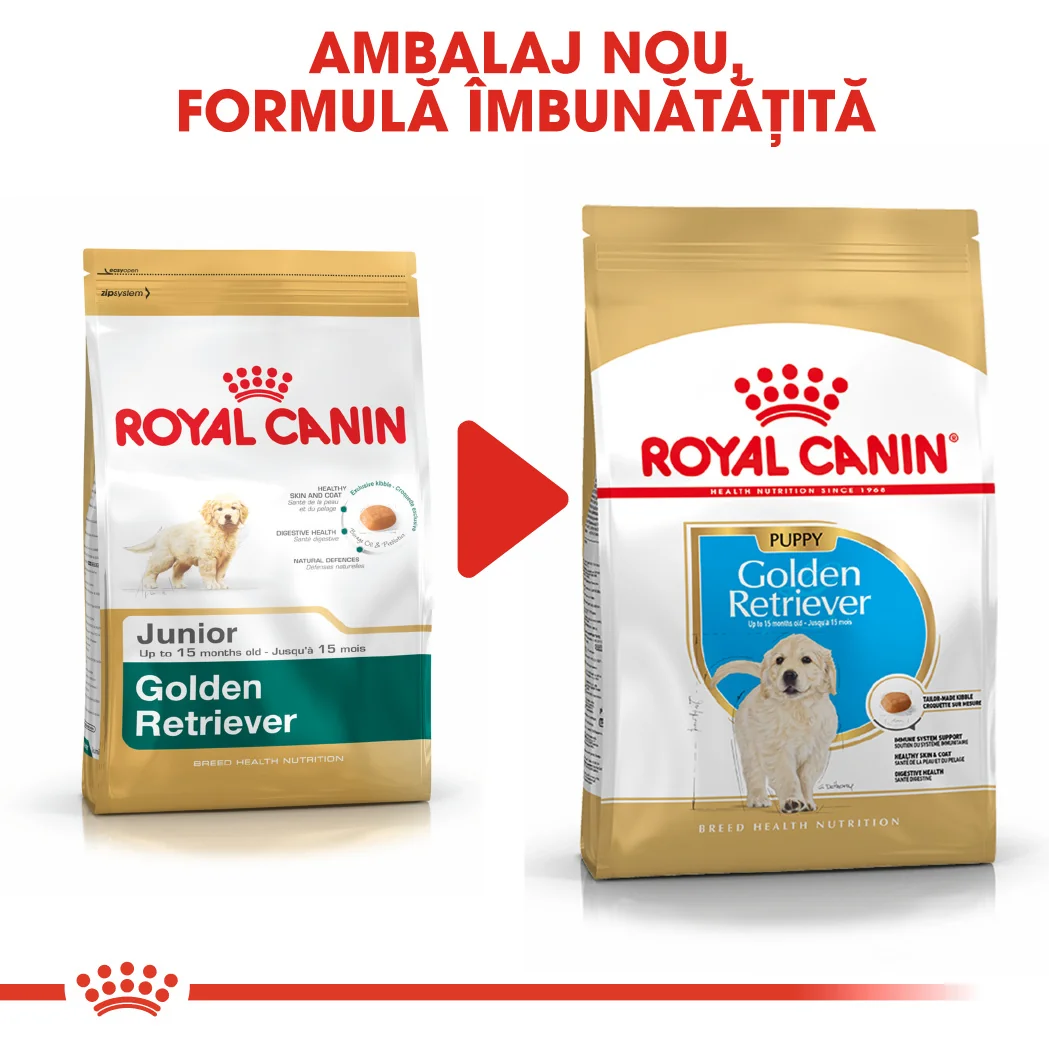 Royal Canin Golden Retriever Puppy