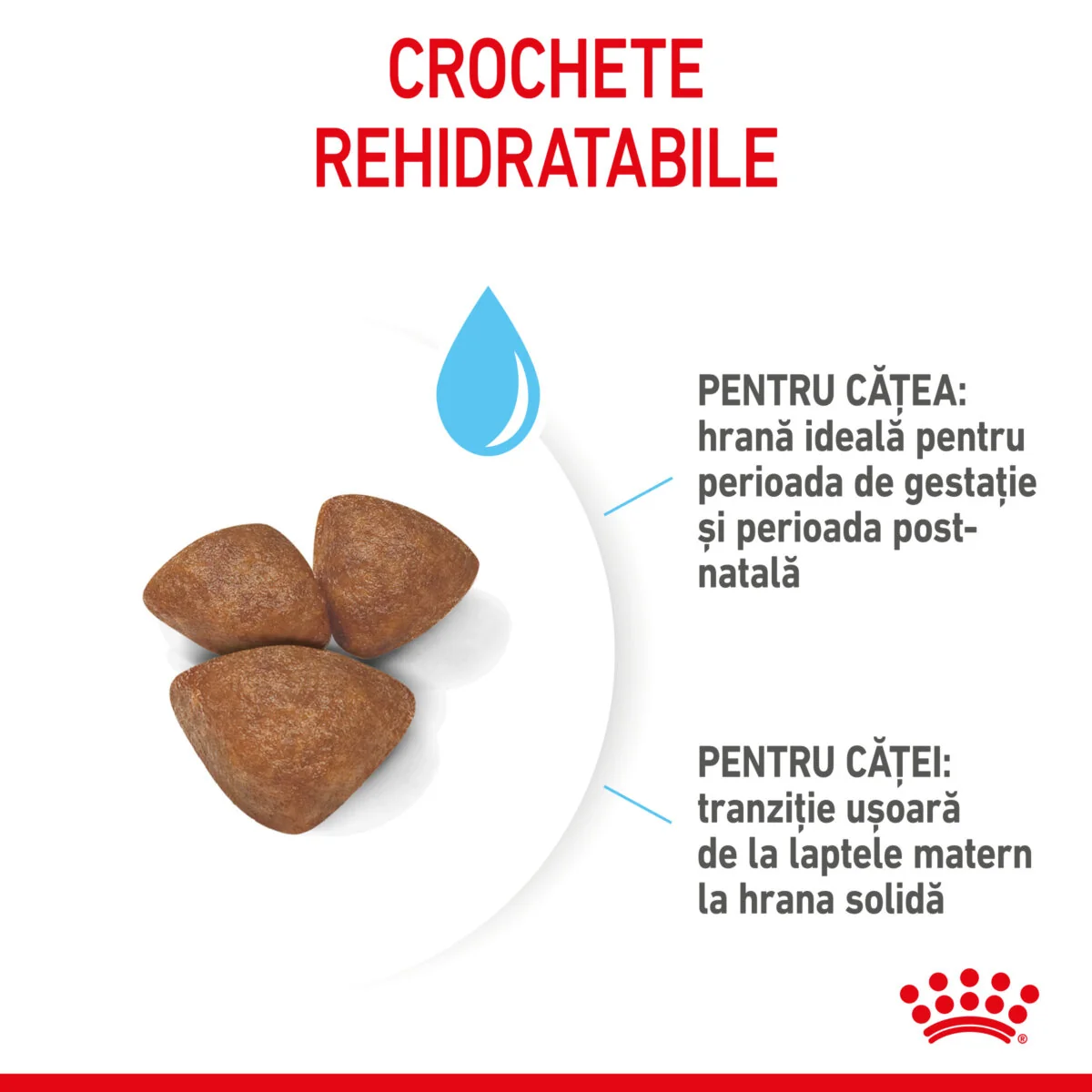 Royal Canin Mini Starter Mother & Babydog