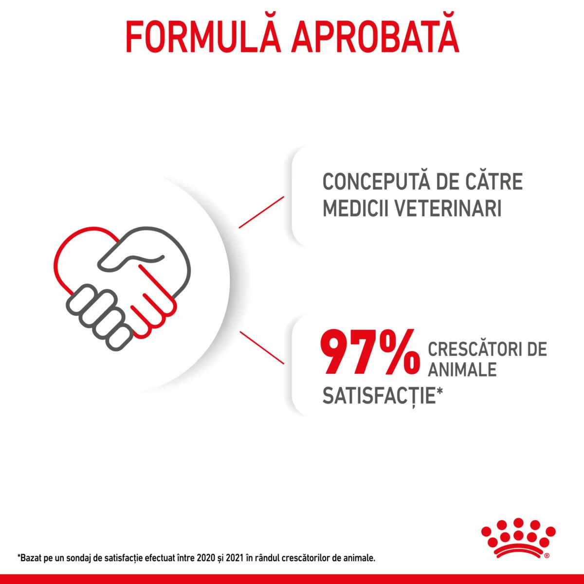 Royal Canin Mini Starter Mother & Babydog