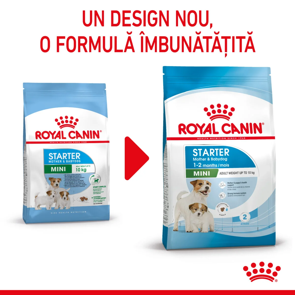Royal Canin Mini Starter Mother & Babydog