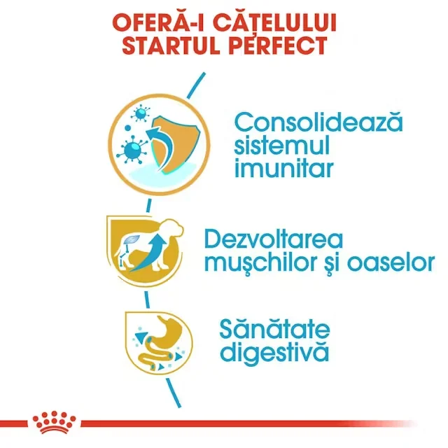 Royal Canin Rottweiler Puppy