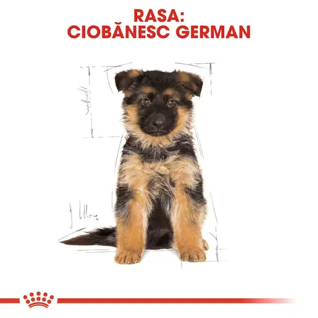 Royal Canin German Shepherd Puppy