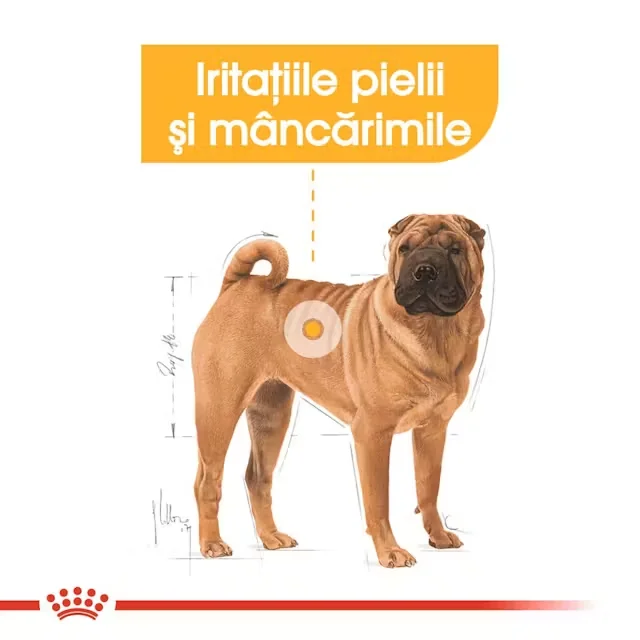 Royal Canin Medium Dermacomfort