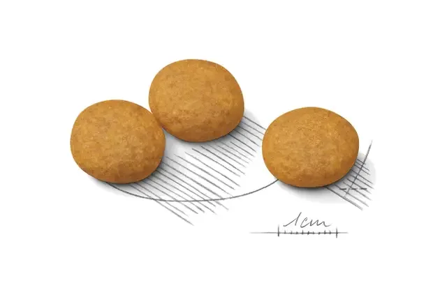 Royal Canin Medium Dermacomfort