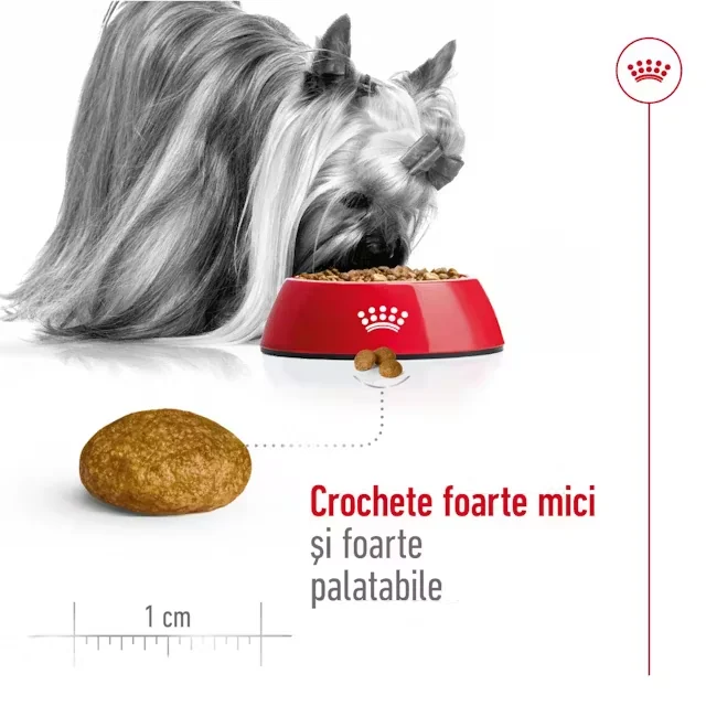 Royal Canin X-Small Adult