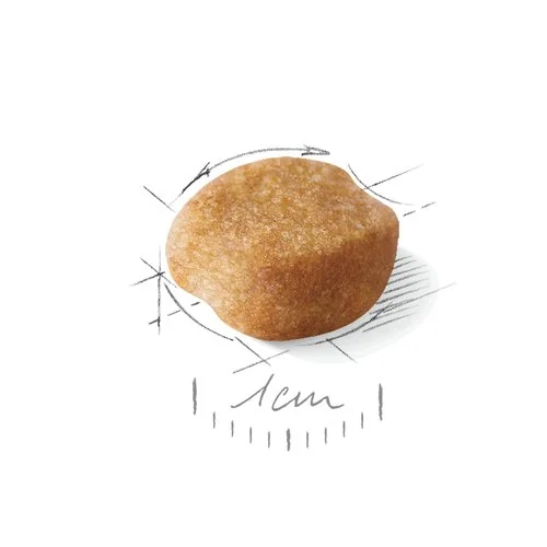 Royal Canin Yorkshire Adult