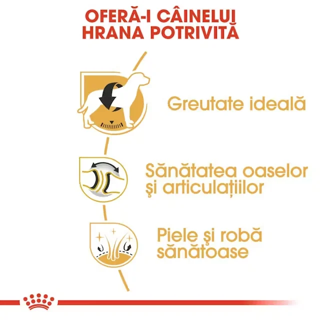 Royal Canin Labrador Adult