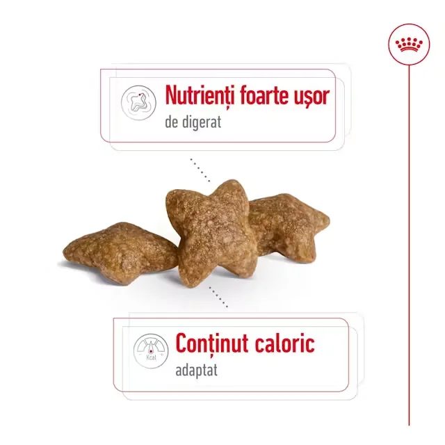 Royal Canin Mini Adult