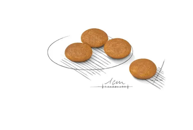 Royal Canin Mini Dermacomfort