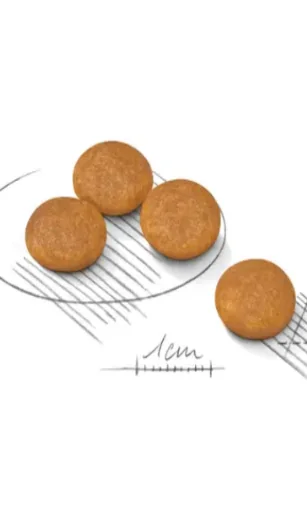 Royal Canin Mini Dermacomfort