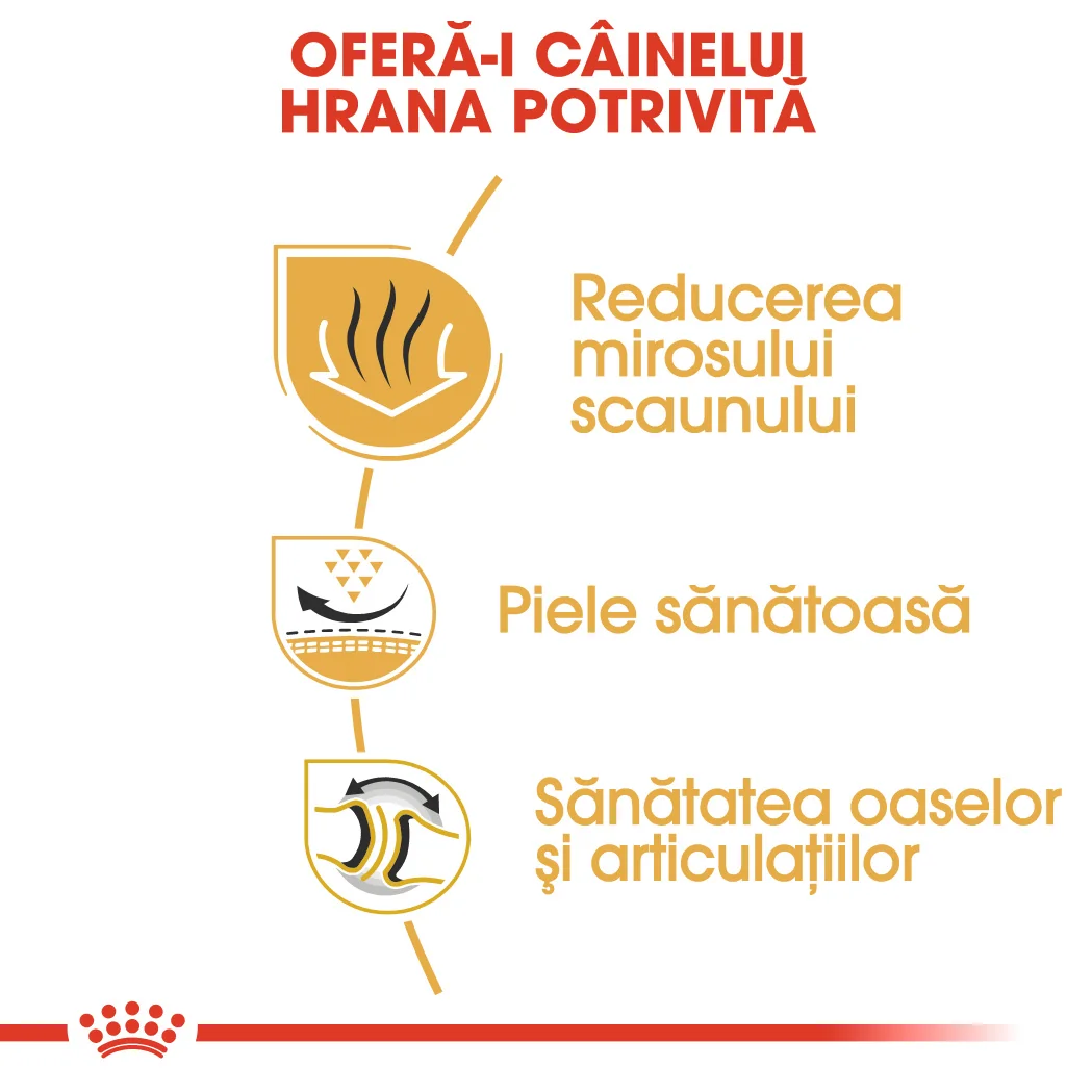 Royal Canin Bulldog Adult